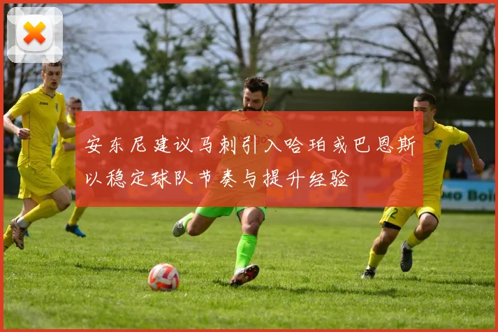 安东尼建议马刺引入哈珀或巴恩斯以稳定球队节奏与提升经验